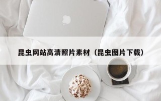 滦南昆虫网站高清照片素材（昆虫图片下载）
